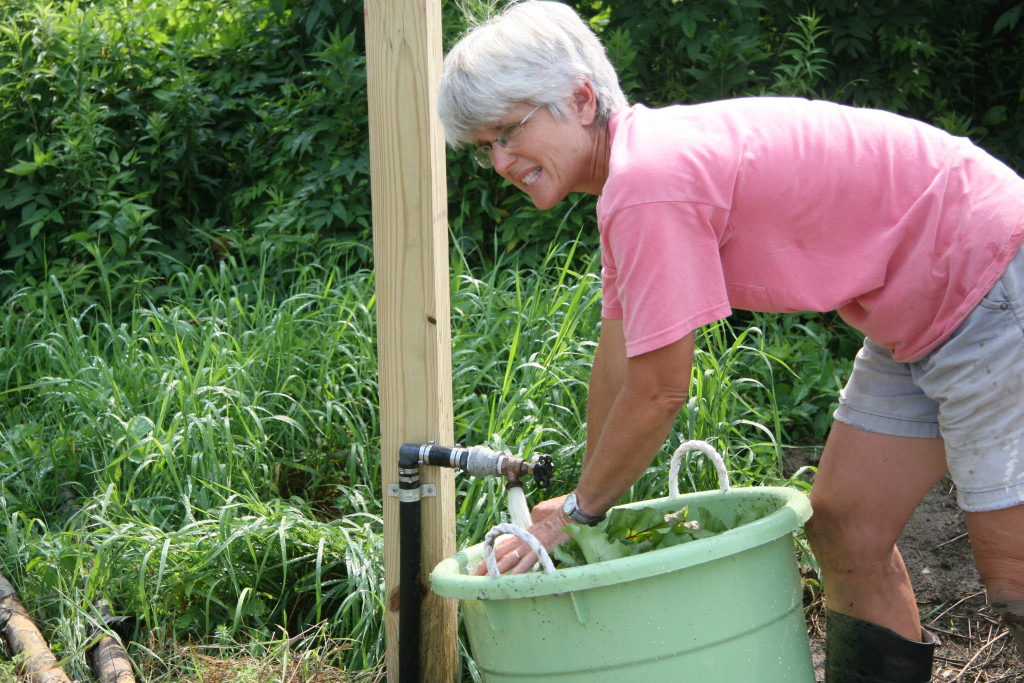 Longfellow's Greenhouses