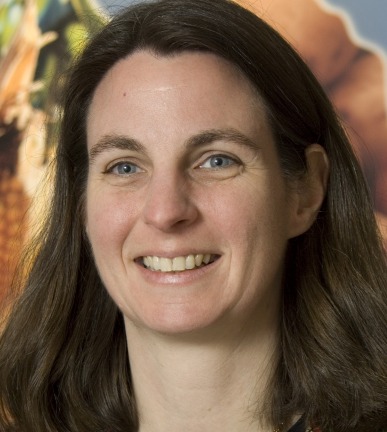 Longfellow's Greenhouses