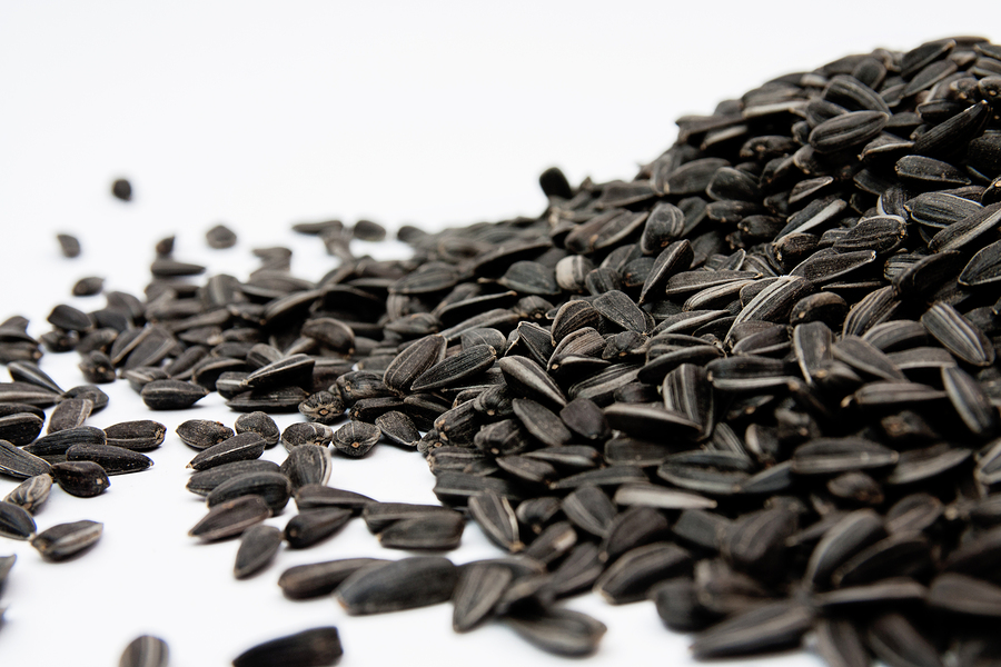 Longfellow's Greenhouses