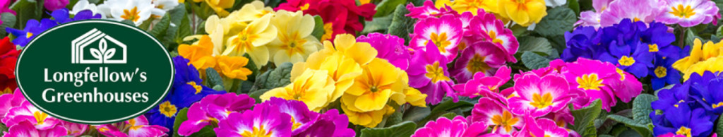 Longfellow's Greenhouses