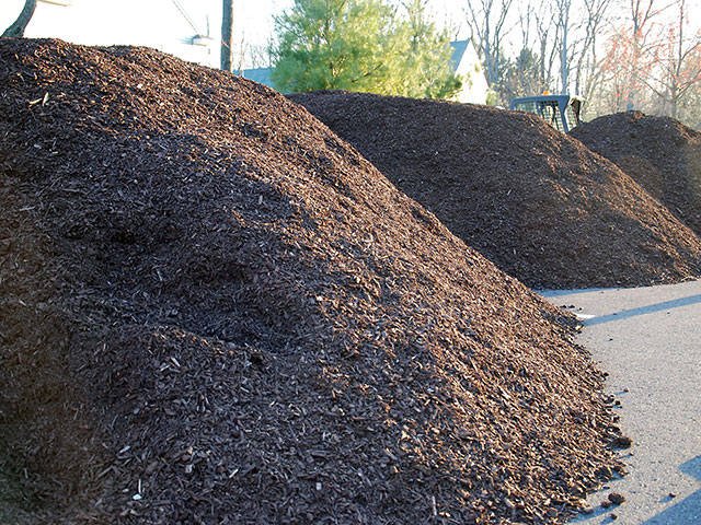 Longfellow's Greenhouses