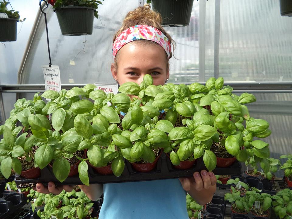 Longfellow's Greenhouses