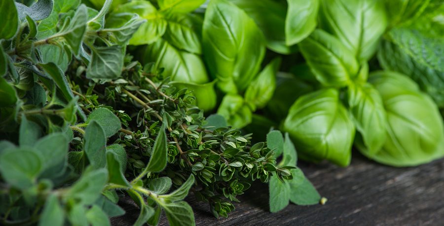 Longfellow's Greenhouses