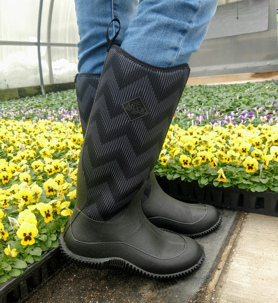 Longfellow's Greenhouses