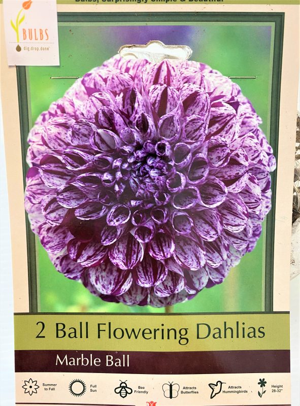 Longfellow's Greenhouses