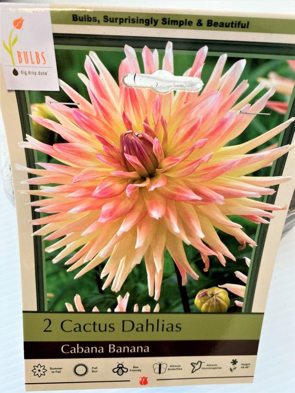 Longfellow's Greenhouses