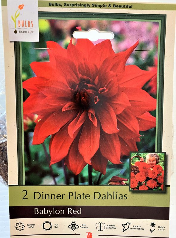 Longfellow's Greenhouses