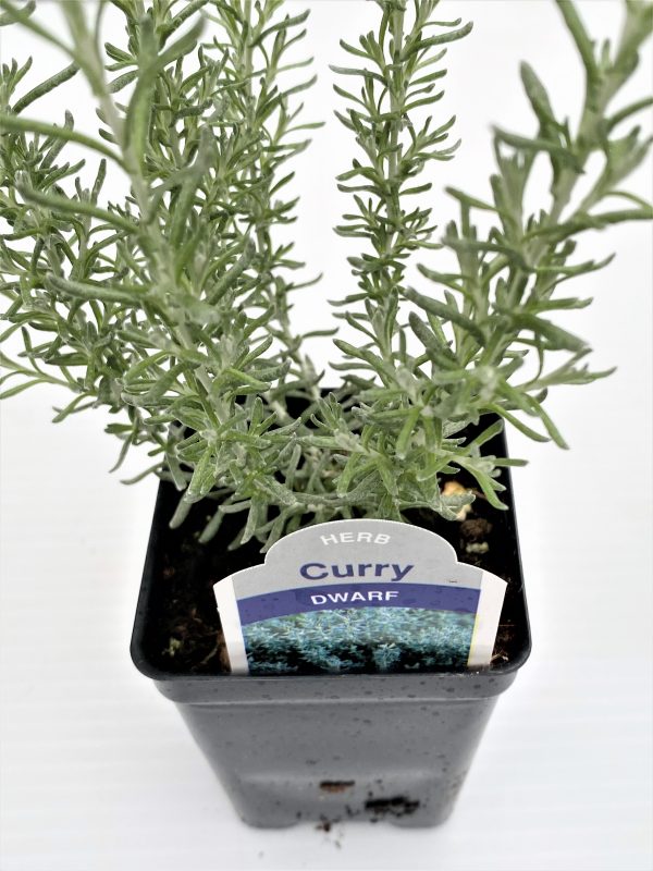 Longfellow's Greenhouses