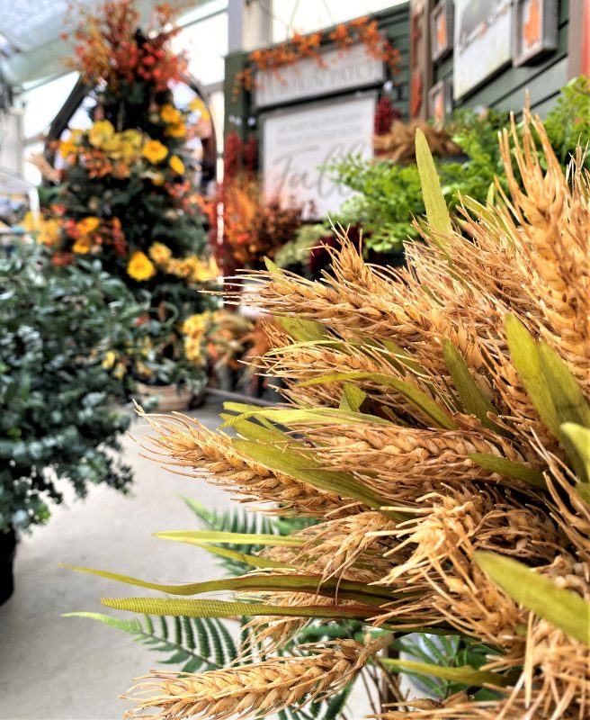 Longfellow's Greenhouses