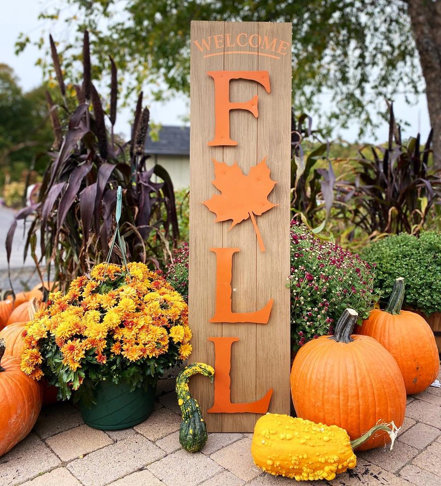 Welcome Fall Longfellow S Greenhouses