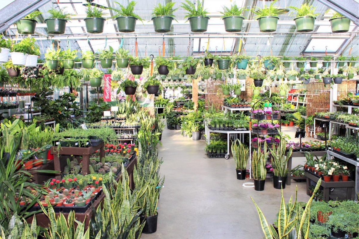 Longfellow's Greenhouses