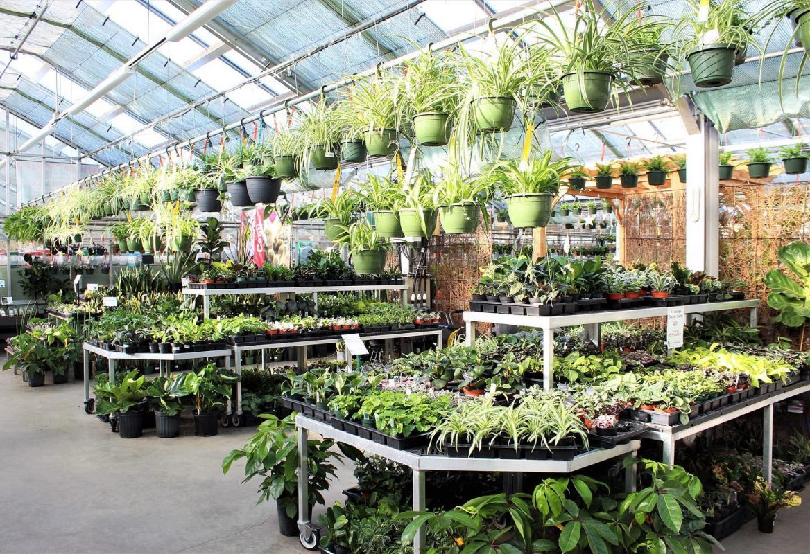 Longfellow's Greenhouses