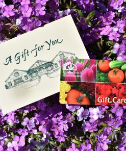 Gift Cards