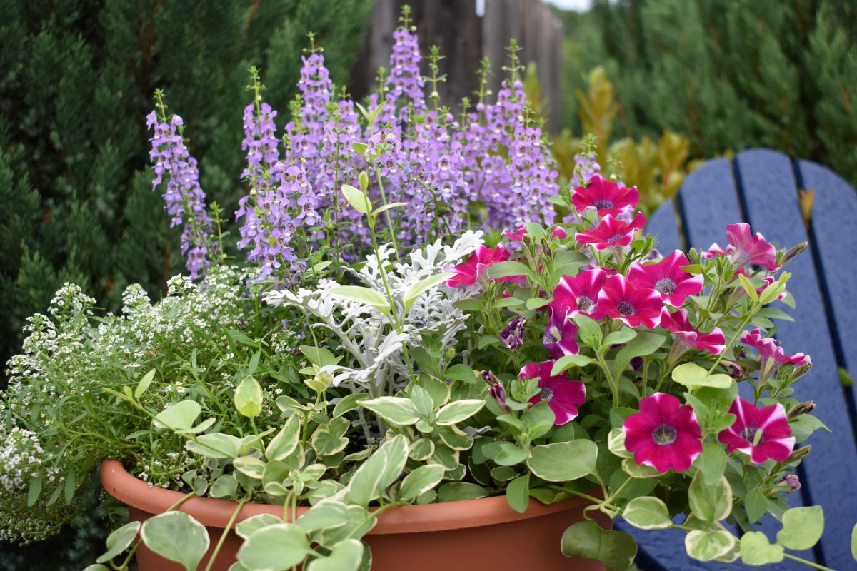 Longfellow's Greenhouses