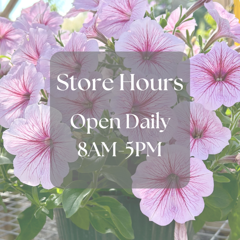 Longfellow's Greenhouses