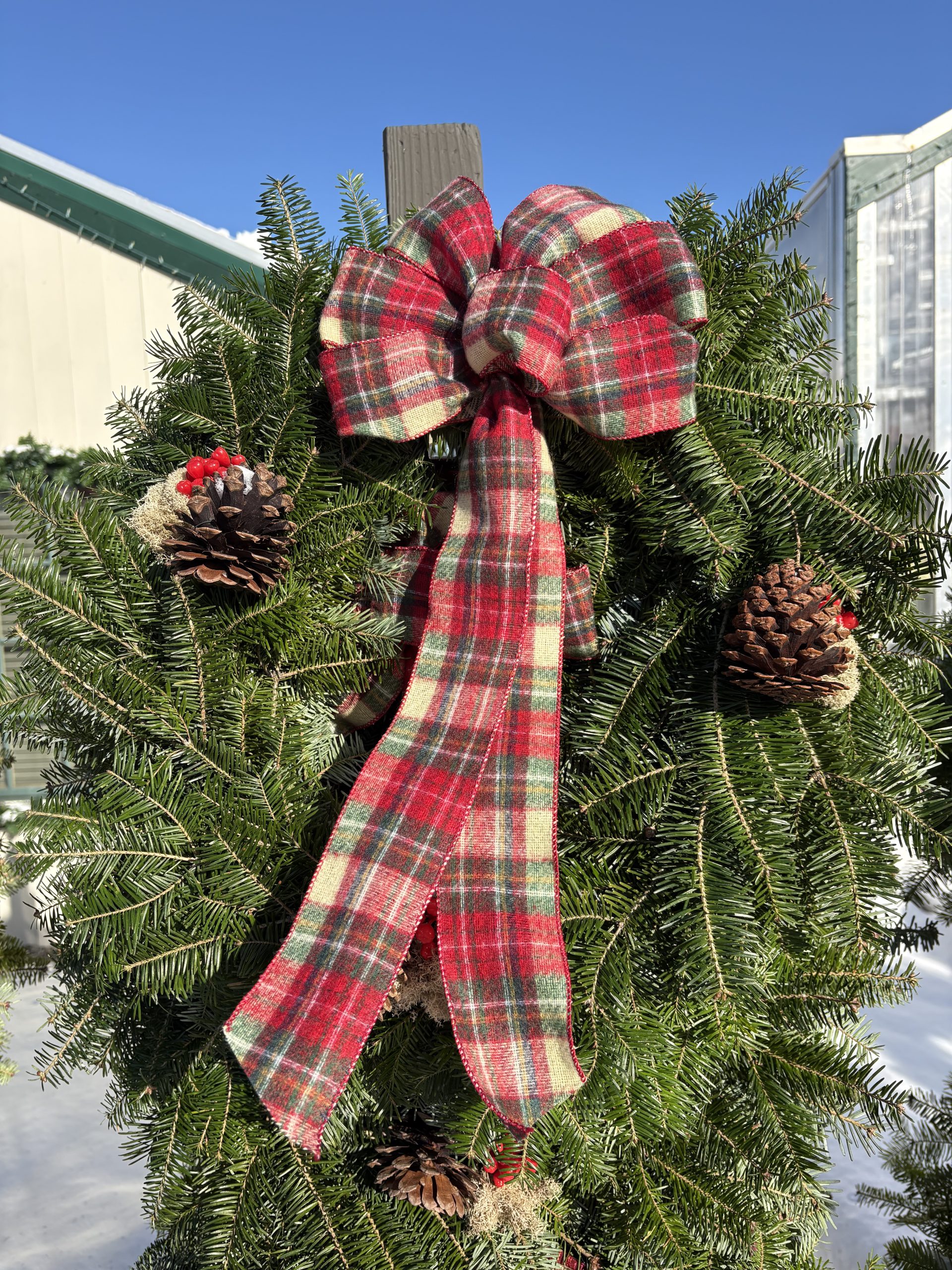 Wraath wreath (2) - Longfellow's Greenhouses