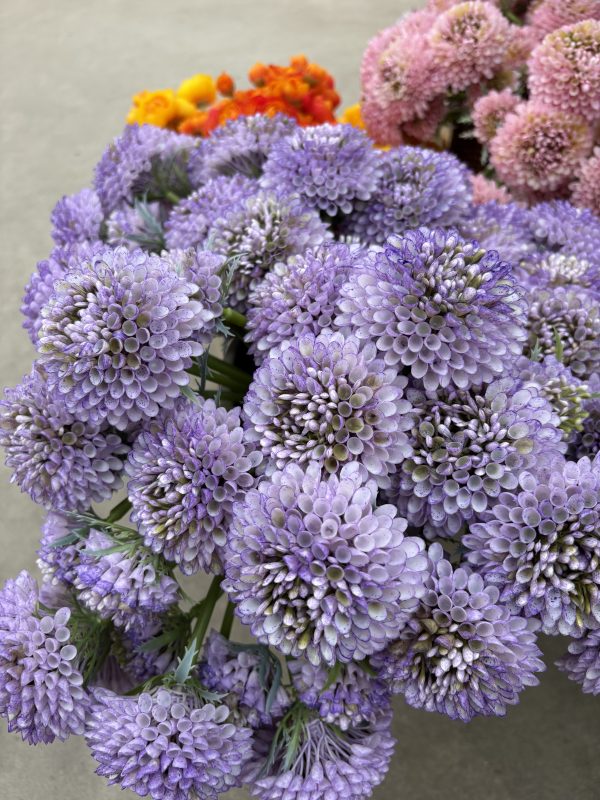 Longfellow's Greenhouses